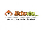 adestramento-santos-sp-santos-1456676882