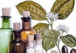 farmacias-de-homeopatia-santos-1457986578
