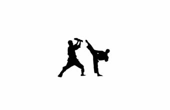 ABKS – Academia Budo Karate Shotokan - Foto 1