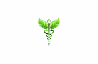 Zhénsamia Medicina Tradicional Chinesa - Foto 1