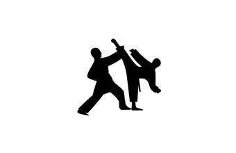 Academia Fábio Goulart de Taekwondo - Foto 1