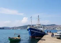 Antaq participação social Porto de Santos