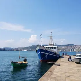 Antaq participação social Porto de Santos