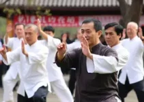 tai chi chuan