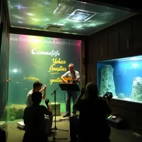 Chorinho no Aquário