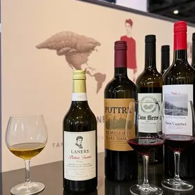 exposição de vinhos