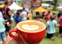 Festival Santos Café 2026