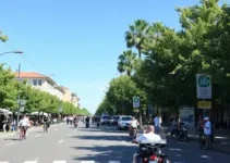 Campeonato Santista de Pedestrianismo