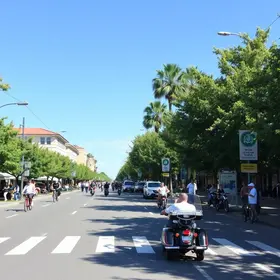 Campeonato Santista de Pedestrianismo