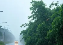 chuva e vento de 93 km/h