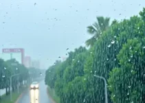 chuva em Santos