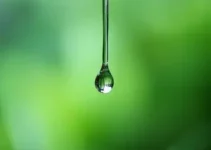 Gota D’Água No Tempo