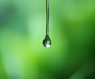 Gota D’Água No Tempo
