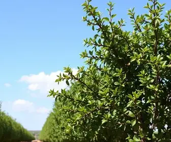 mudanças climáticas