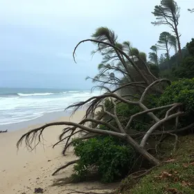 ventania no litoral de SP